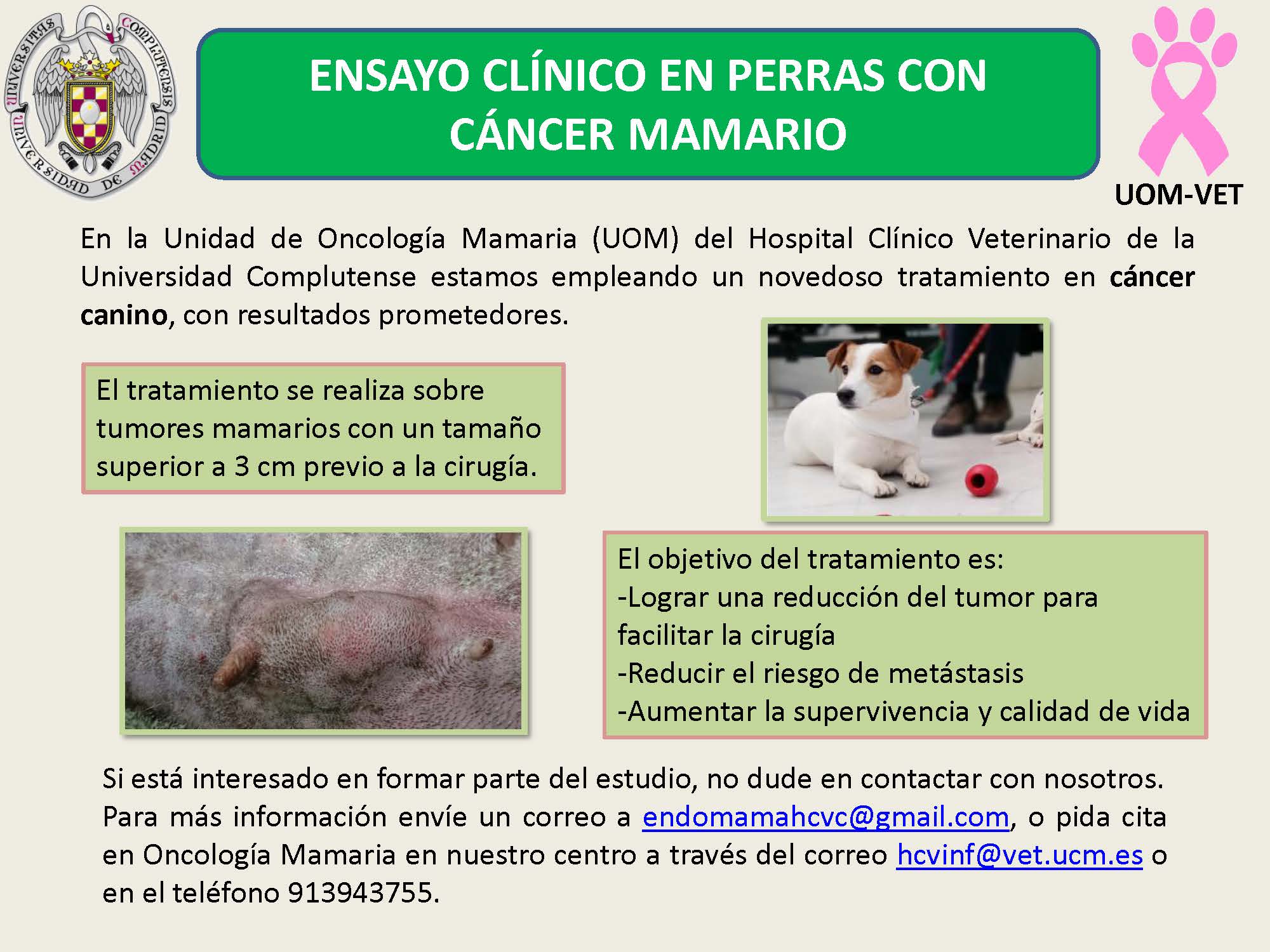 Ensayo clínico en perras con cáncer mamario